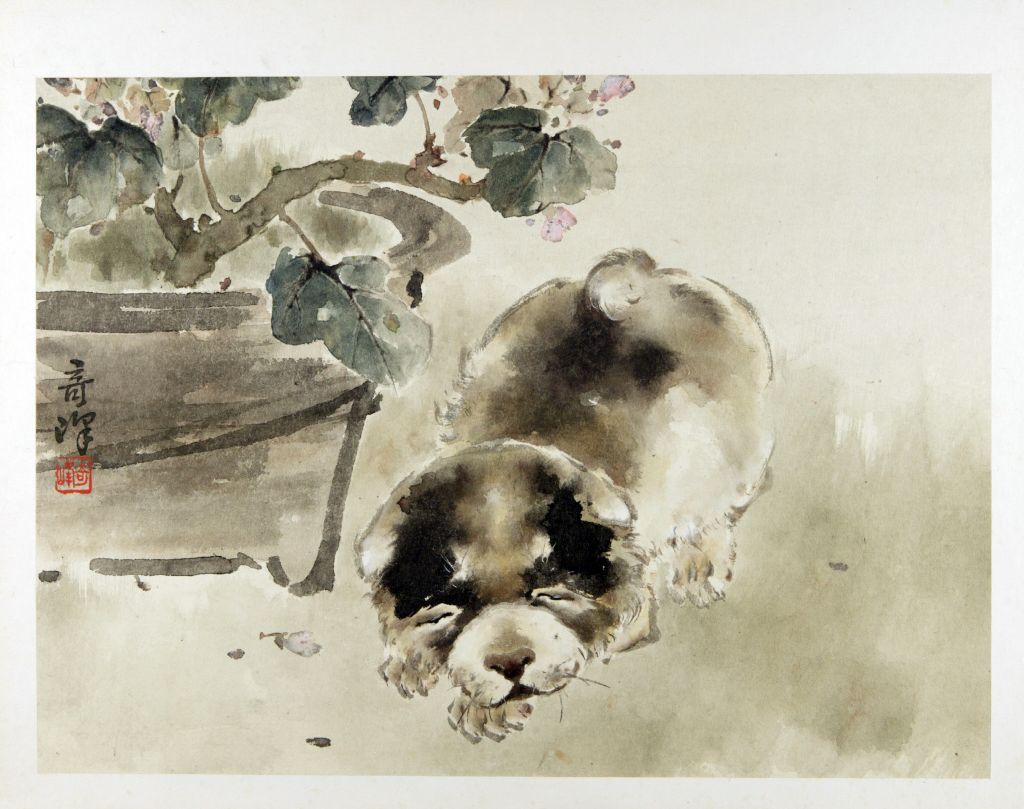 图片[1]-Animal Atlas – Dogs-China Archive